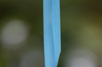 0928foto-vedri 0928foto-vedri