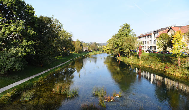 Image 5868869 (auto)