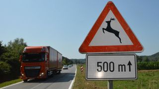 divljač na cesti znak