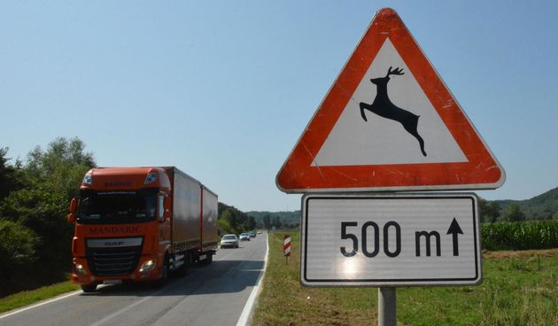 divljač na cesti znak