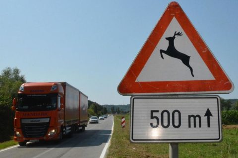 0eb507862c4f0c5a1ea51606d453ff05-view_article_new