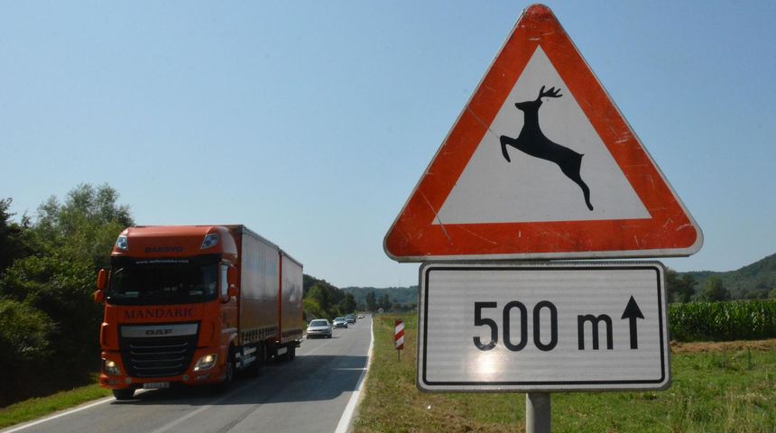 0eb507862c4f0c5a1ea51606d453ff05-view_article_new