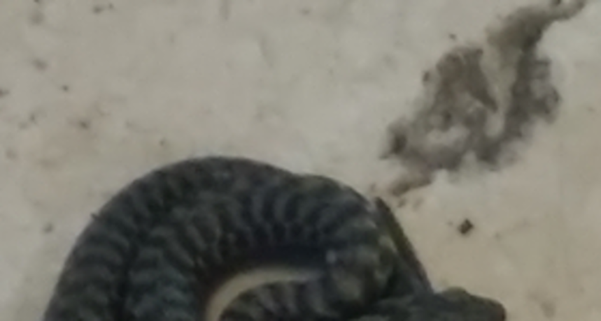 71056820241655802512863092818057197518848n 71056820241655802512863092818057197518848n