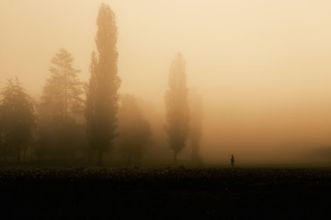 1. nagrada_Benko Boris_U magli