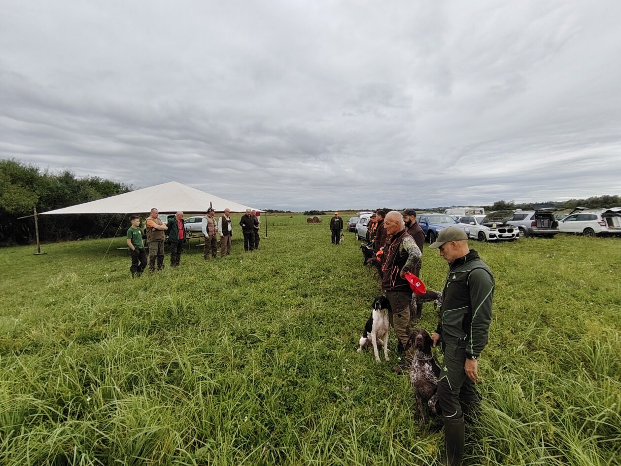 1000095390 1000095390