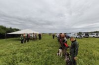 1000095390 1000095390