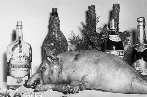 1963_pajcek_nova_godi_sl