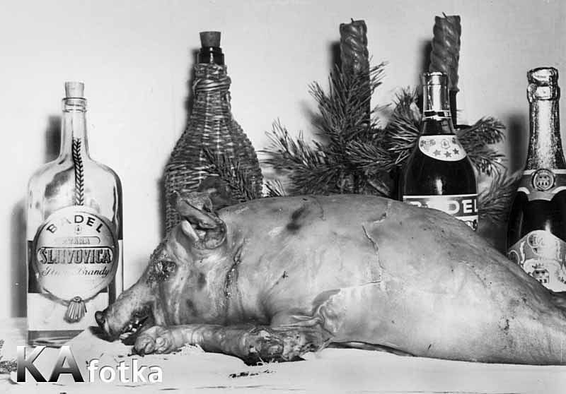 1963_pajcek_nova_godi_sl