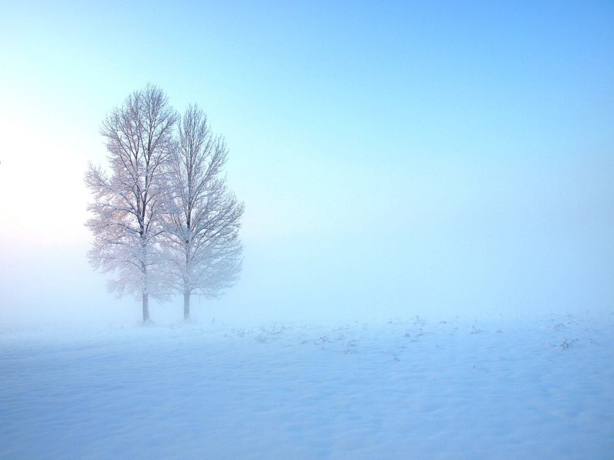 2. nagrada_Jakić Nataša_Zajedno