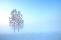 2. nagrada_Jakić Nataša_Zajedno