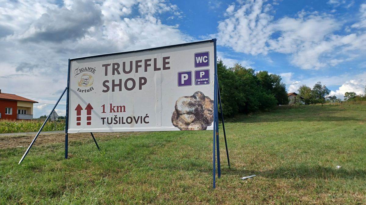 20220812_172641s (1)