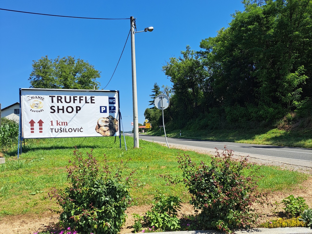 20240629_112155s (1)