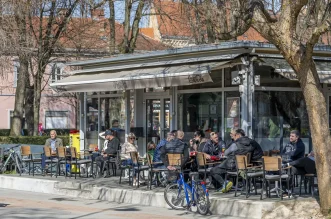 20250309 Karlovačkim ulicama (foto Igor Čepurkovski) 32 Katalpa