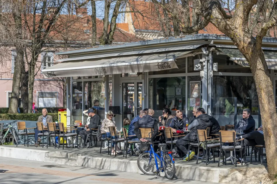 20250309 Karlovačkim ulicama (foto Igor Čepurkovski) 32 Katalpa