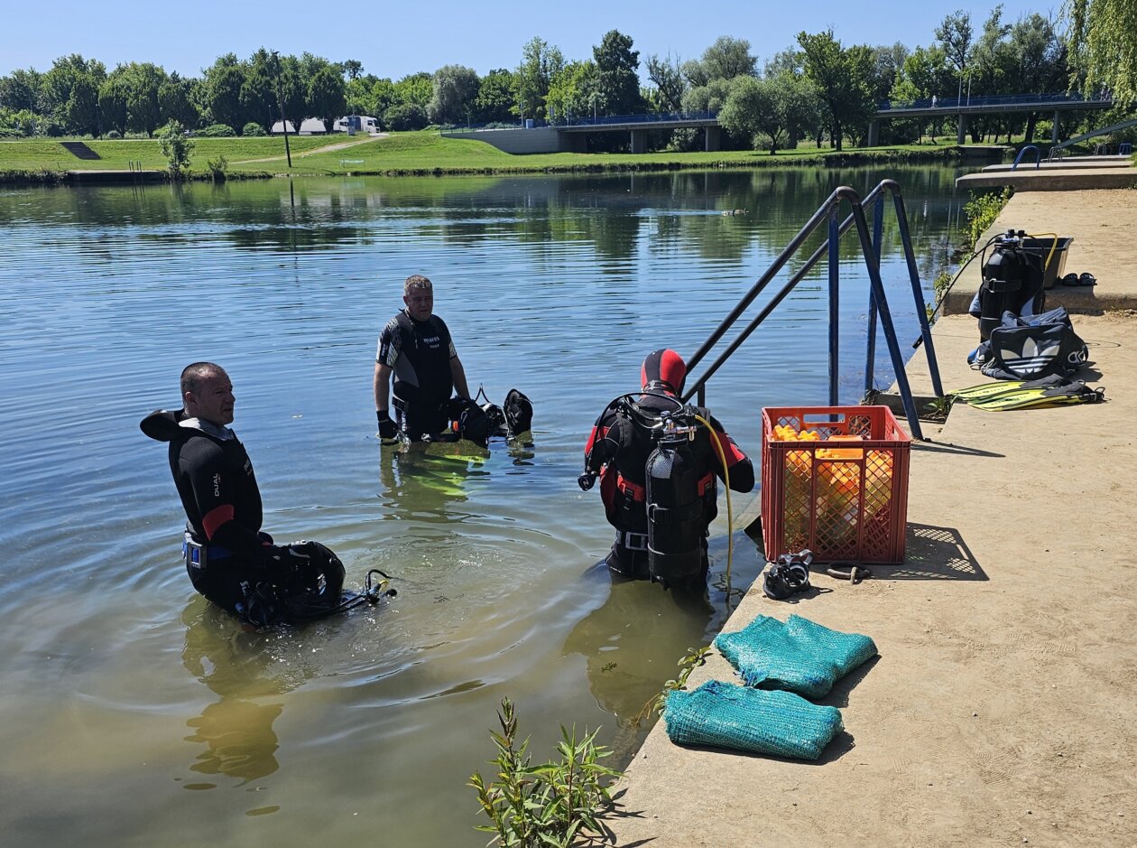 20250601_105234a 20250601_105234a