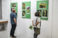 20250602 Hrvatsko šumarsko društvo (foto Igor Čepurkovski) 06