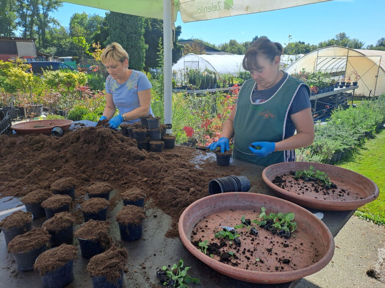 20250826_112316 20250826_112316