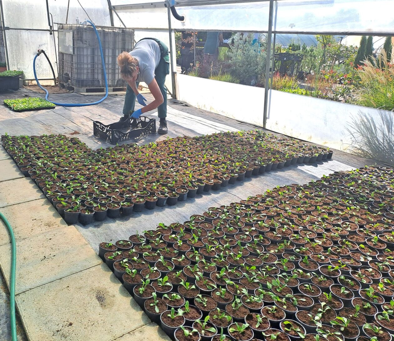 20250827_103941 20250827_103941