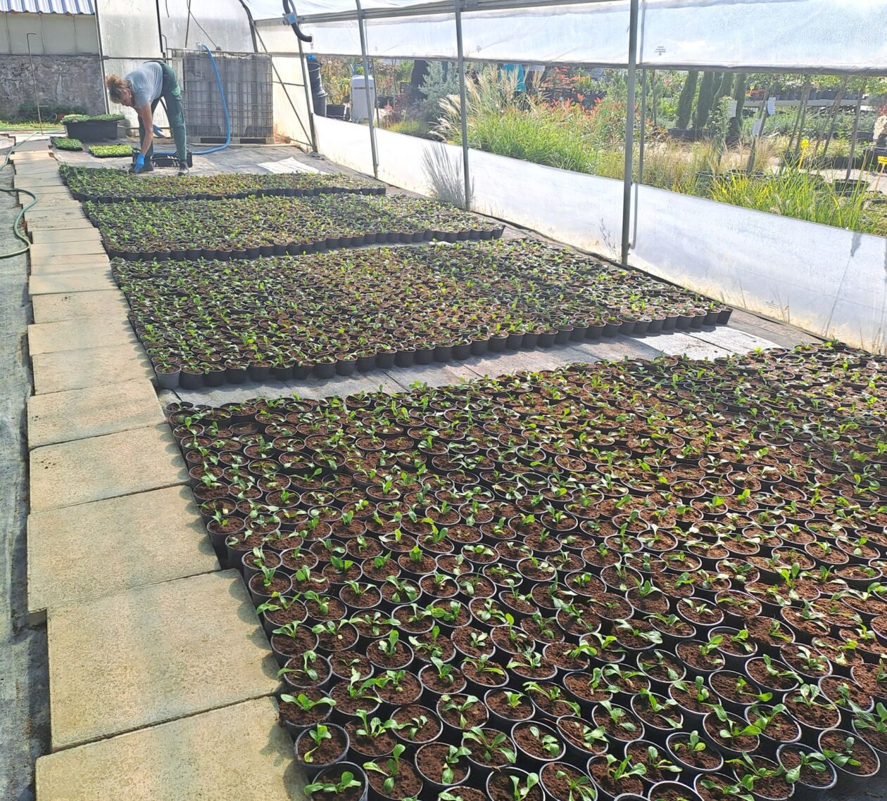 20250827_103949 20250827_103949