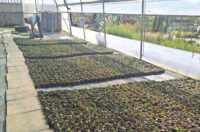 20250827_103949 20250827_103949