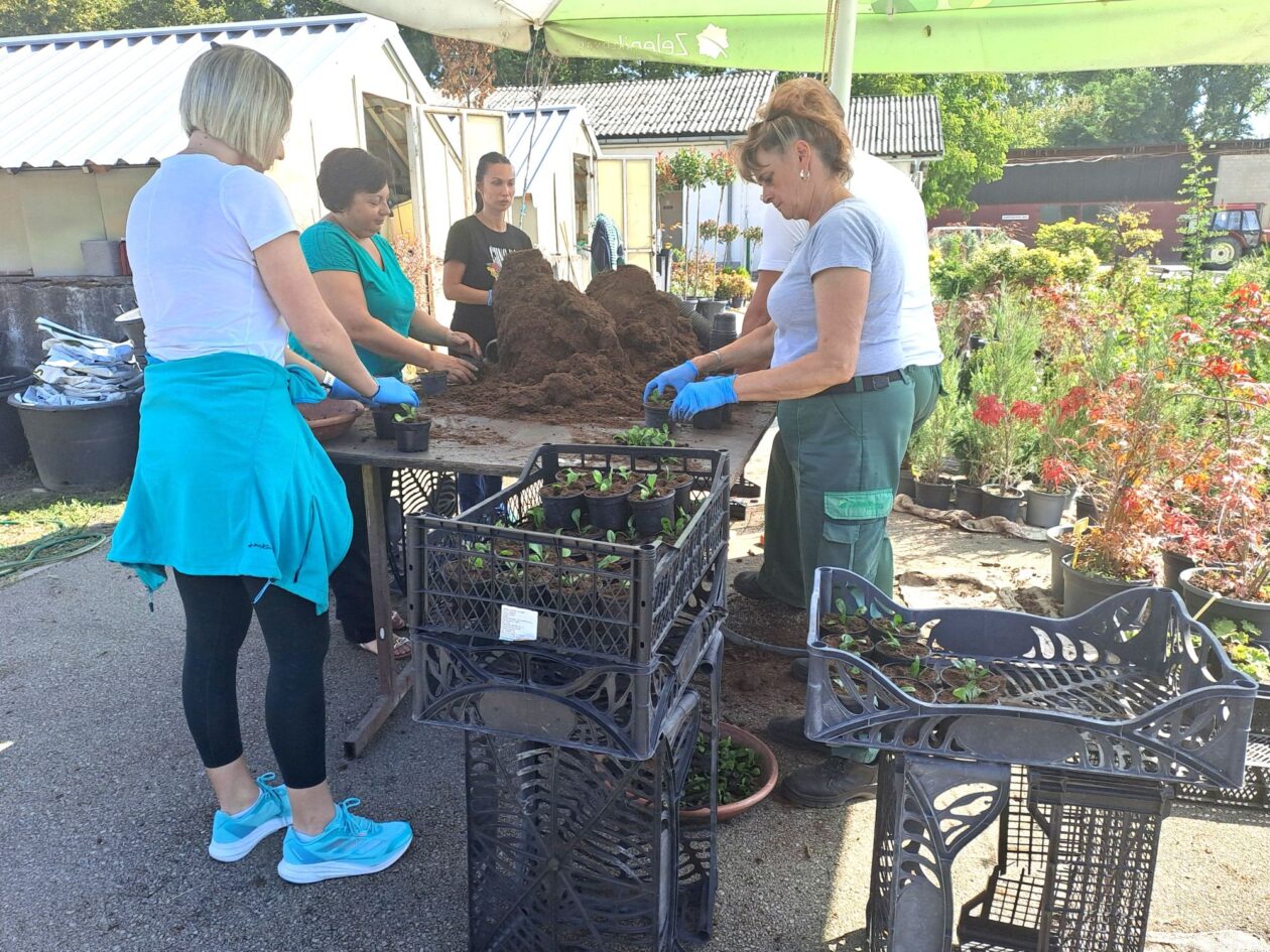 20250827_105023 20250827_105023