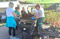 20250827_105023 20250827_105023