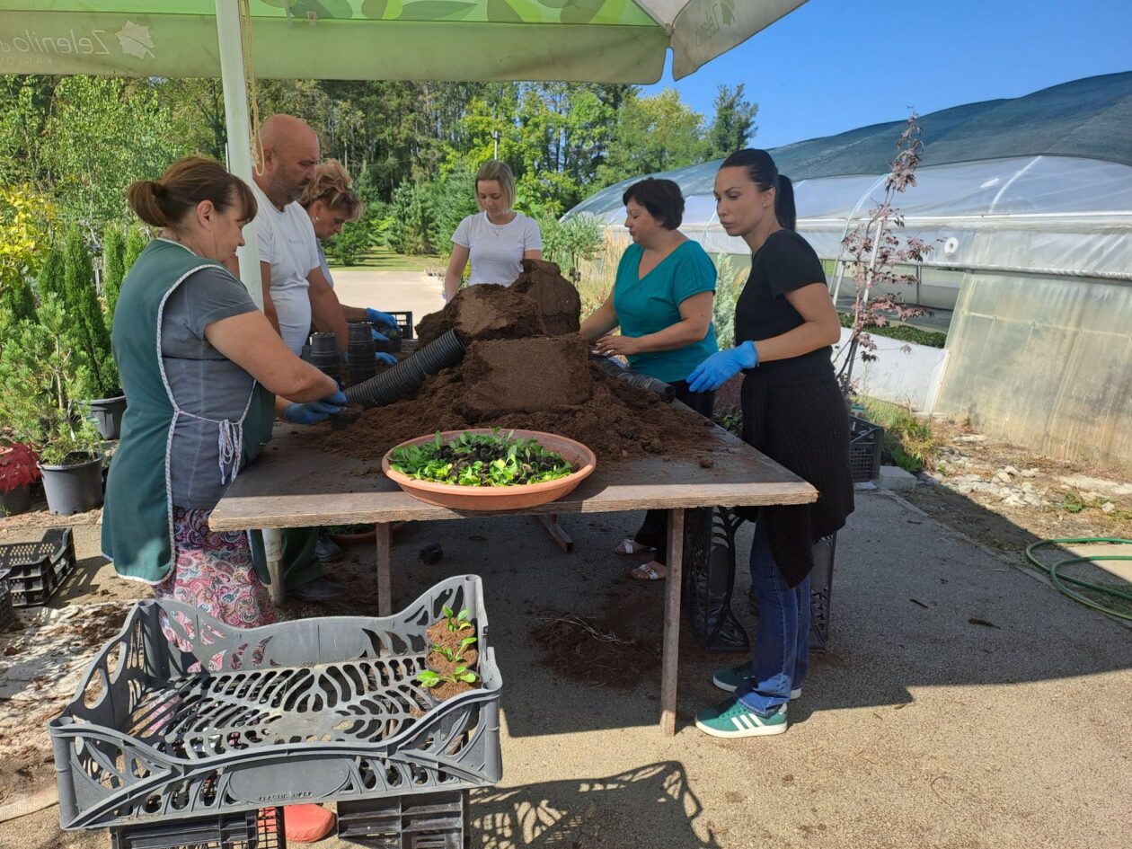 20250827_105037 20250827_105037