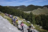 20250921_ZEČJAK VELEBIT0