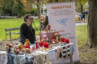 20250927 Sajam udruga Karlovac (foto Igor Čepurkovski) 29 Rajska ptica