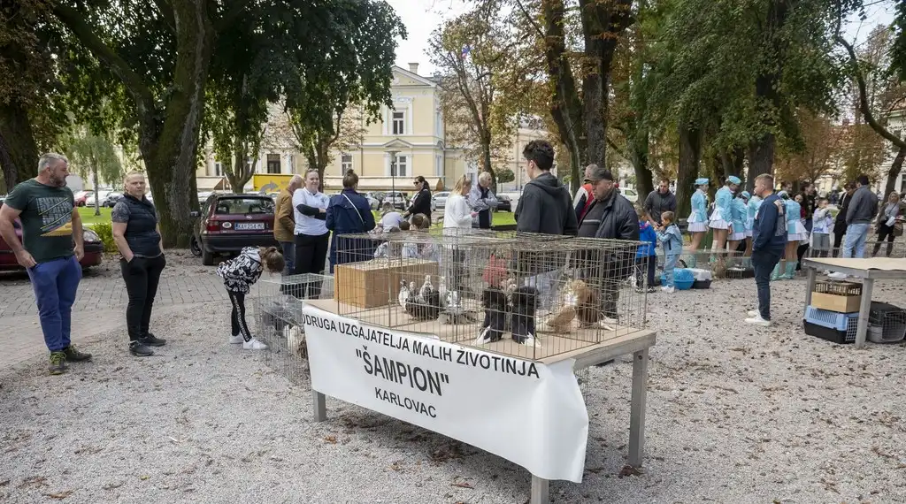 20250927 Sajam udruga Karlovac (foto Igor Čepurkovski) 45