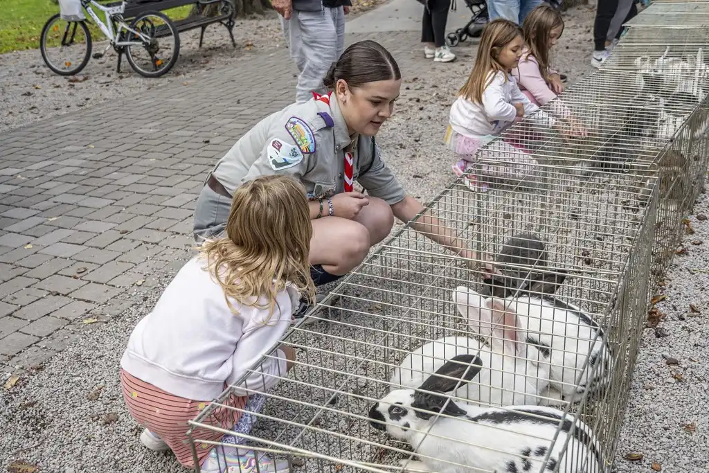 20250927 Sajam udruga Karlovac (foto Igor Čepurkovski) 47