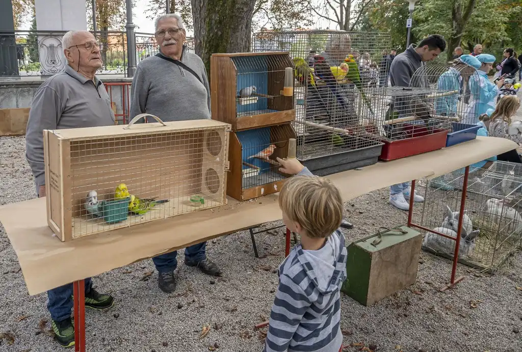 20250927 Sajam udruga Karlovac (foto Igor Čepurkovski) 49