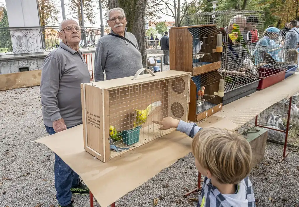 20250927 Sajam udruga Karlovac (foto Igor Čepurkovski) 50