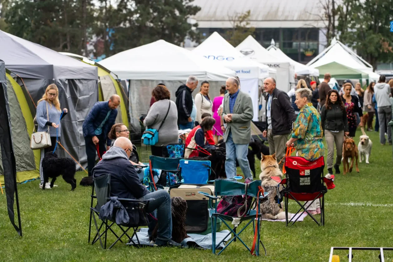 20250927 izložba pasa Karlovac (foto Grad Karlovac) 06