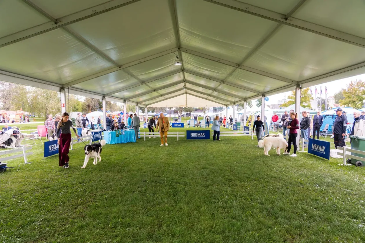 20250927 izložba pasa Karlovac (foto Grad Karlovac) 07