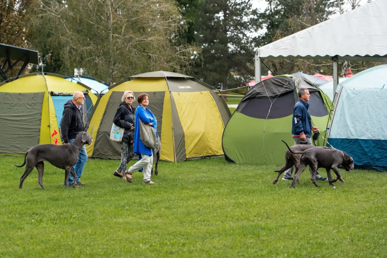 20250927 izložba pasa Karlovac (foto Grad Karlovac) 08