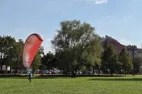 20251003 Niko Mejaški 05 20251003 Niko Mejaški 05