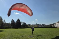 20251003 Niko Mejaški 35 20251003 Niko Mejaški 35