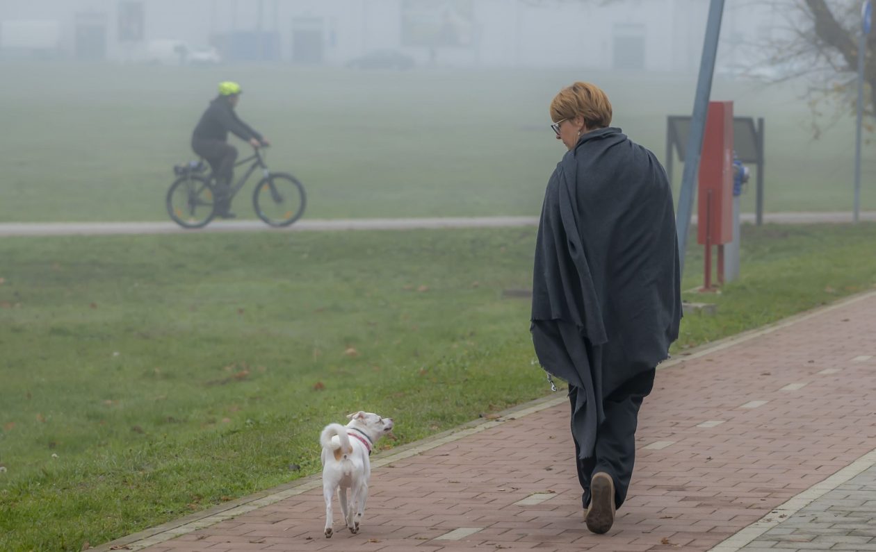 20251007karlovačkim ulicama (29) 20251007karlovačkim ulicama (29)