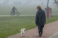 20251007karlovačkim ulicama (29) 20251007karlovačkim ulicama (29)