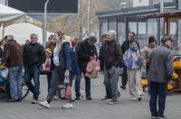 20251007karlovačkim ulicama (31) 20251007karlovačkim ulicama (31)