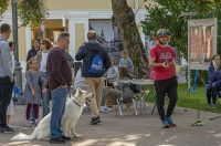 20251010 Kestenijada u Radićevoj ulici (10)