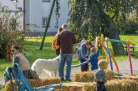 20251010 Kestenijada u Radićevoj ulici (14)