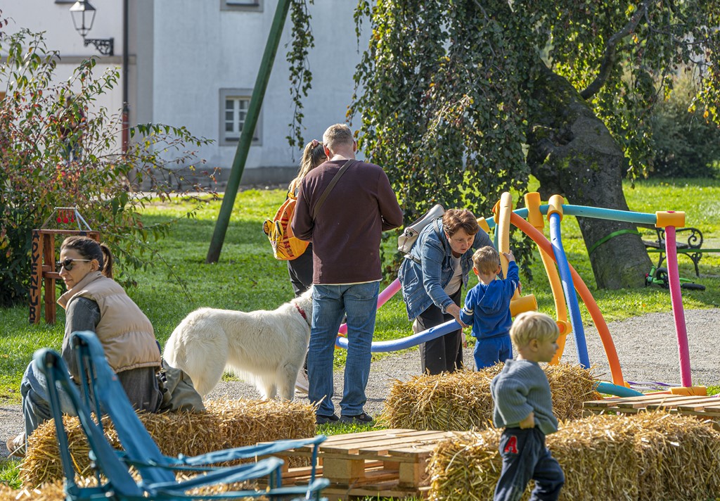 20251010 Kestenijada u Radićevoj ulici (14)