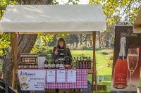 20251010 Kestenijada u Radićevoj ulici (18)