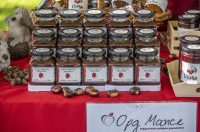 20251010 Kestenijada u Radićevoj ulici (20)