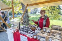 20251010 Kestenijada u Radićevoj ulici (21)