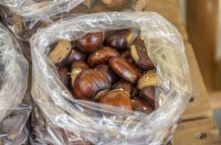 20251010 Kestenijada u Radićevoj ulici (24)