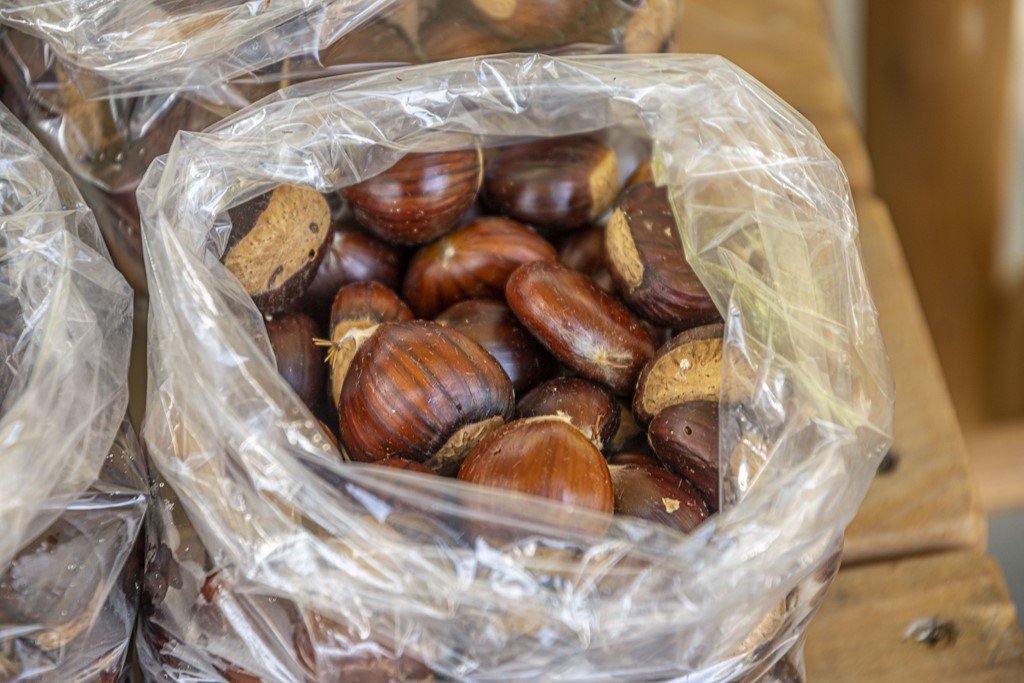 20251010 Kestenijada u Radićevoj ulici (24)