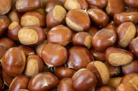 20251010 Kestenijada u Radićevoj ulici (26)